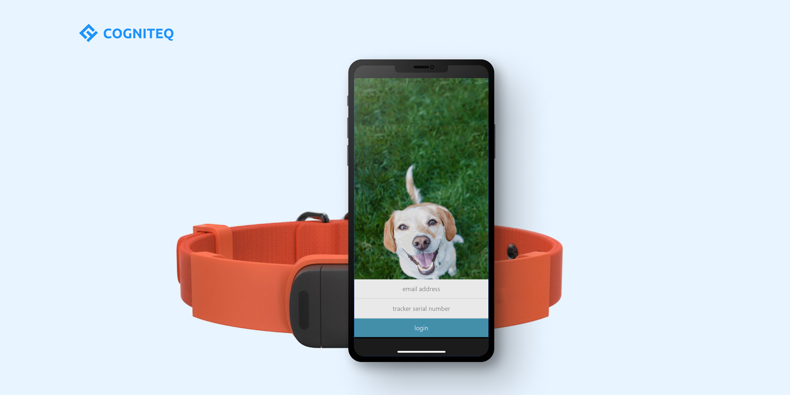 pet iot development