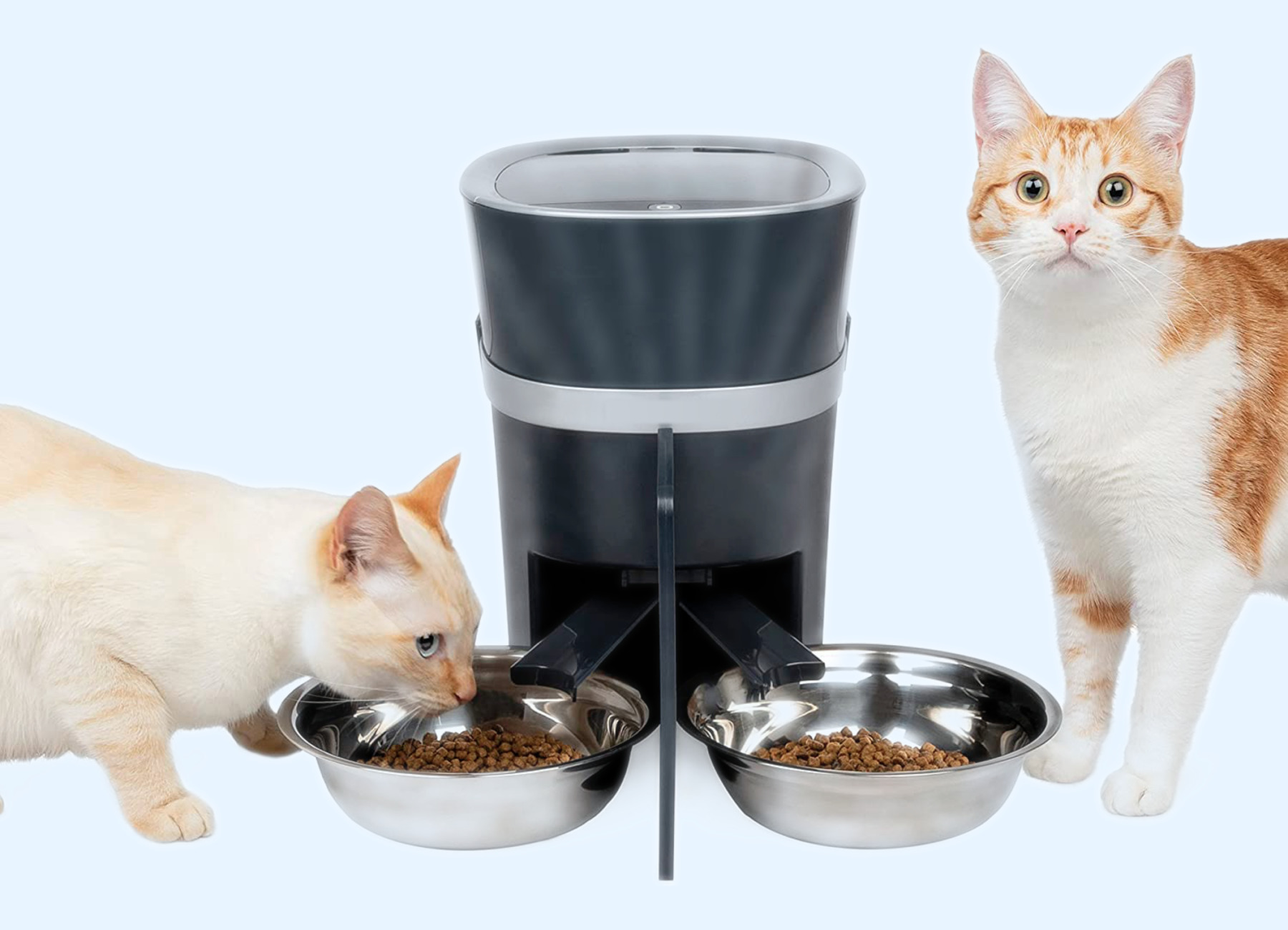 pet app development