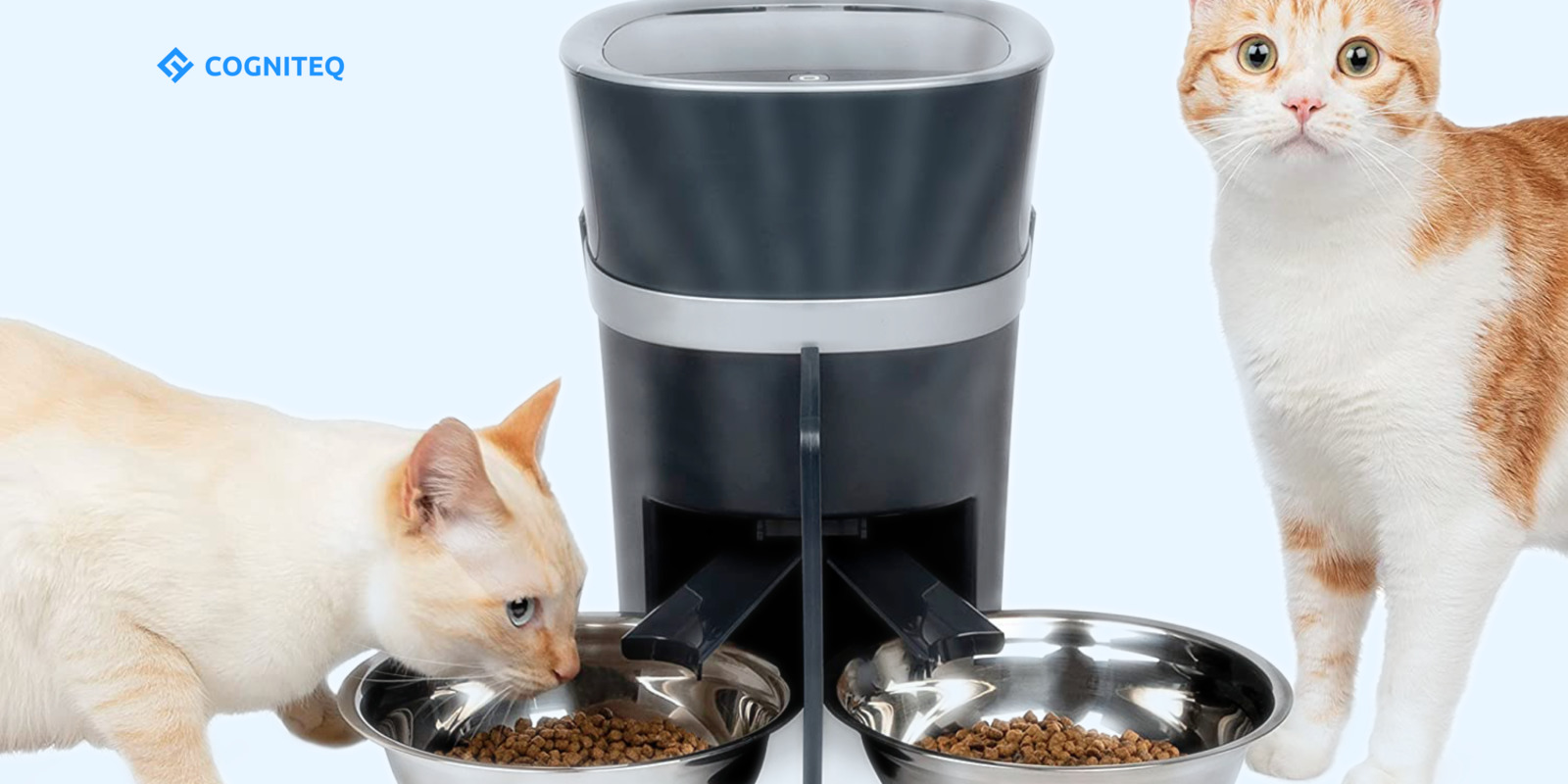 pet tech dev