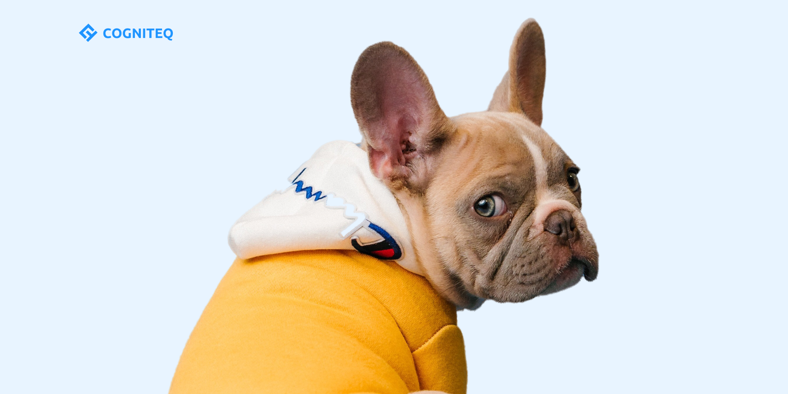 Pets Health Monitoring System