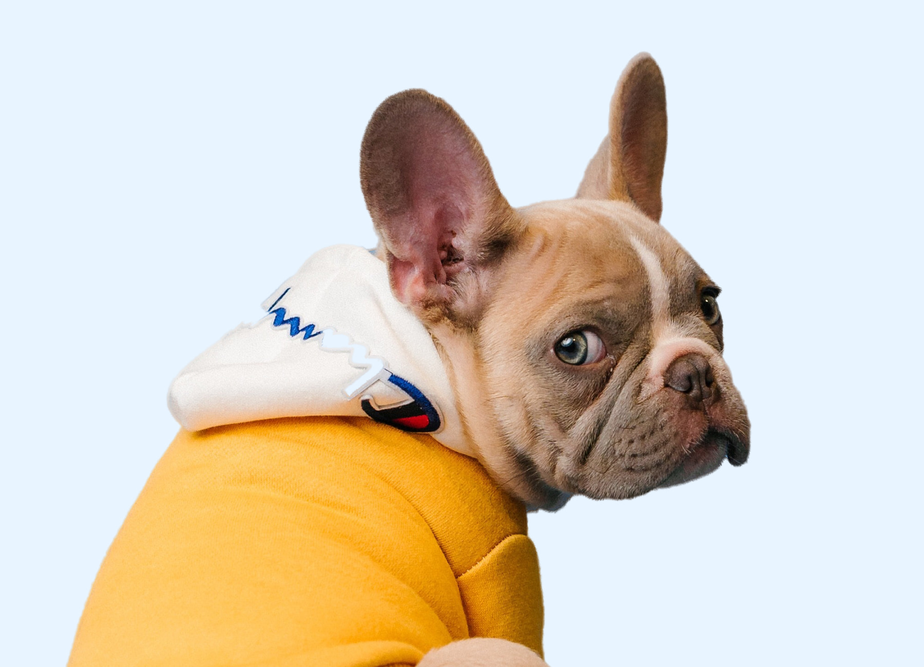  Pets Health Monitoring System