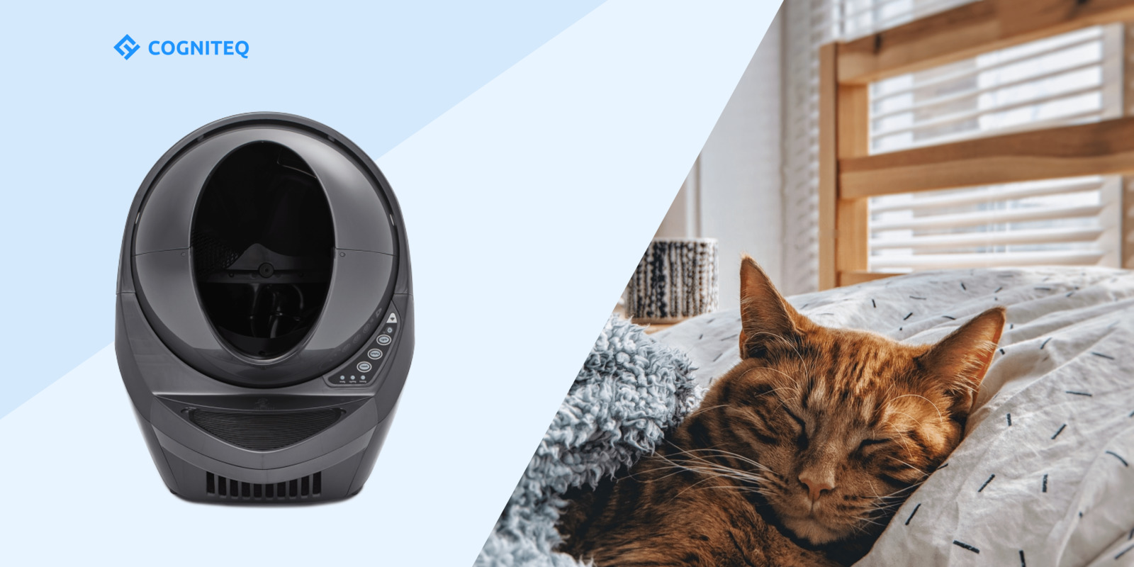 IoT pet tech market