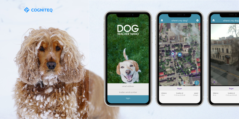 pet iot