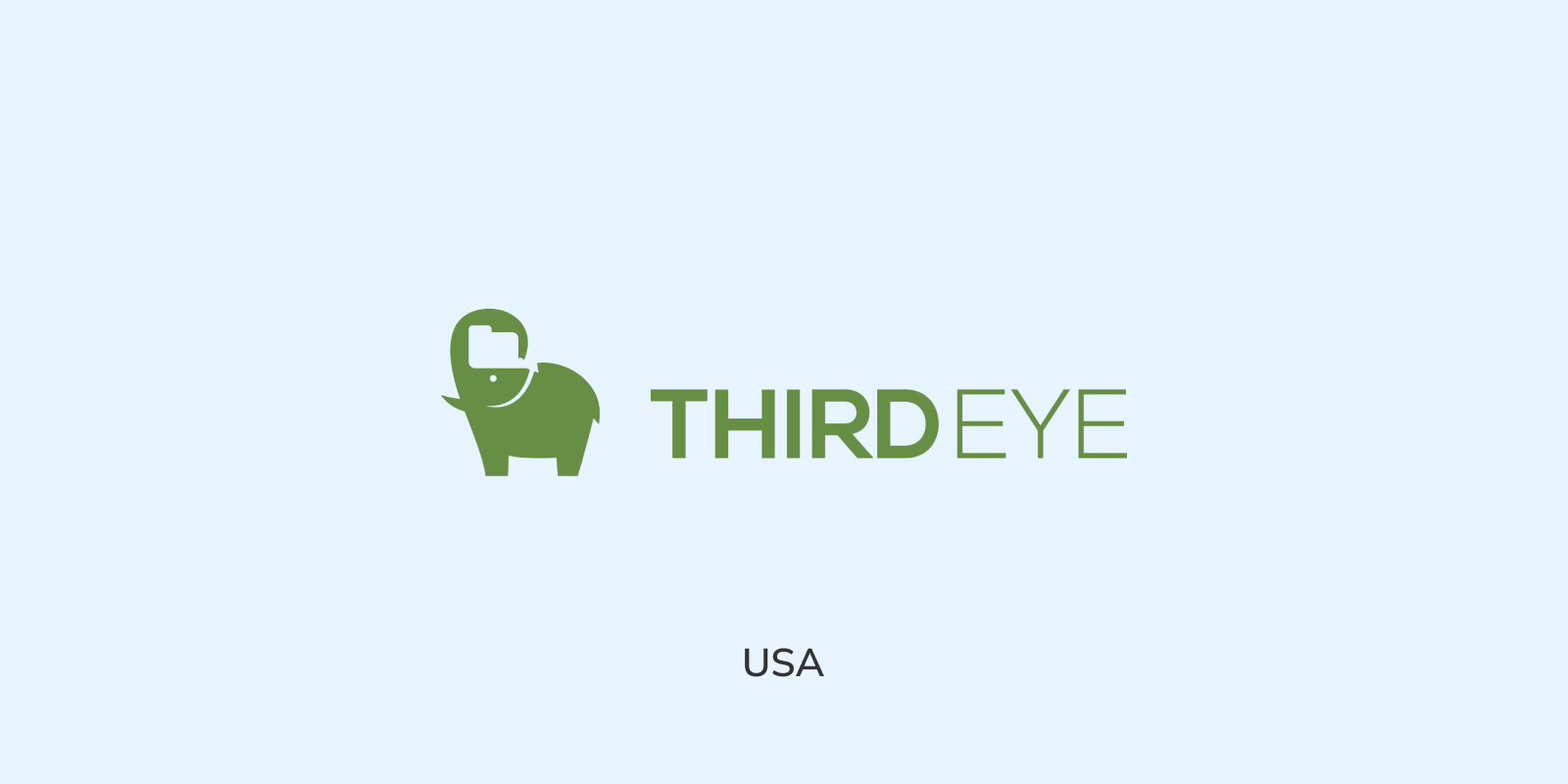 ThirdEye Data
