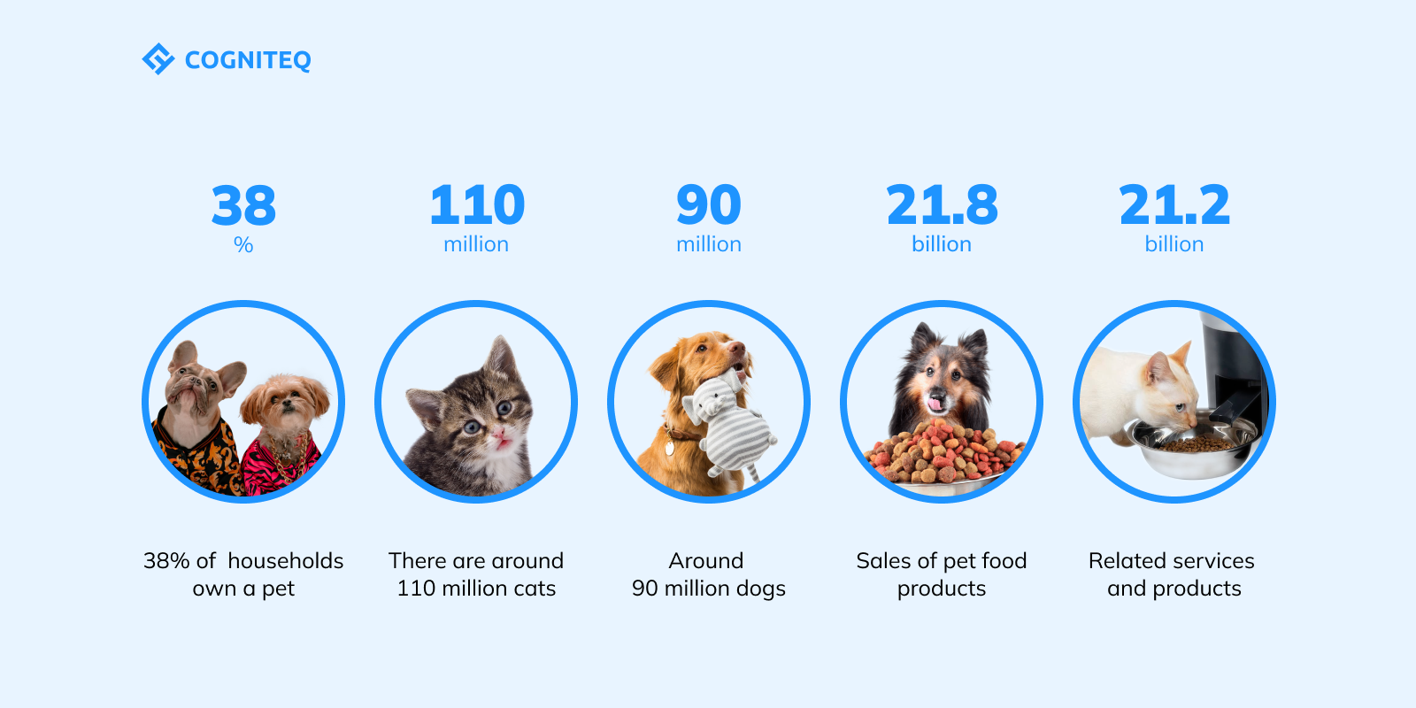 pet software development